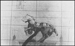 http://www.worlds4.com/greenaway/images/draud13p.htm
