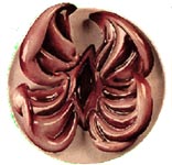 Vaginaali-ikonografioita hyödyntävä yksityiskohta Judy Chicagon The Dinnertable -teoksesta (1974–1979).