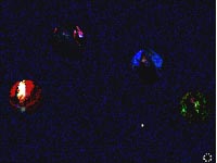 4_2003_moninaiset_naiset_6.jpg (10092 bytes)