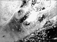Moons Pool (1973)